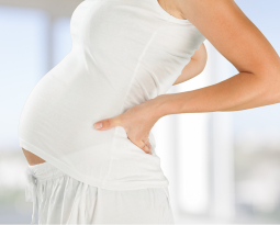 The Posture of Pregnancy