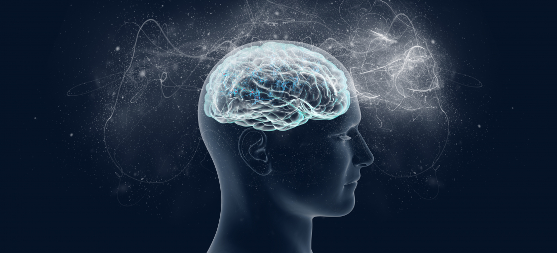 Maximize Your Brain Power With Brain Based Ergonomics